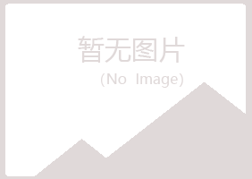 兰山区平庸能源有限公司